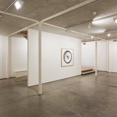Ausstellungsansicht, Pickpocket