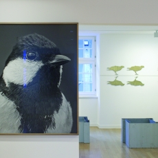Ausstellungsansicht, Regionale 21