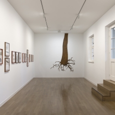 Ausstellungsansicht Regionale 25