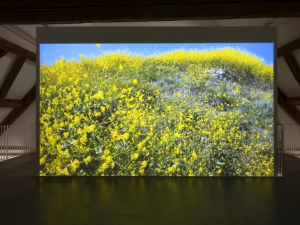 Ausstellungsansicht Valentina Triet