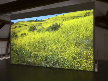 Ausstellungsansicht Valentina Triet