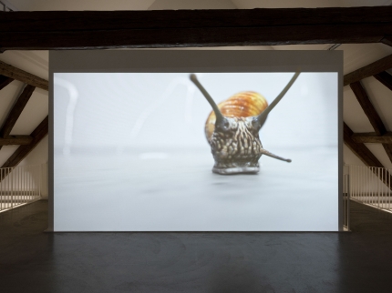 Ausstellungsansicht Entrepreneurship