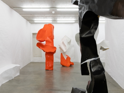 Ausstellungsansicht, Simone Holliger - Struggling structures
