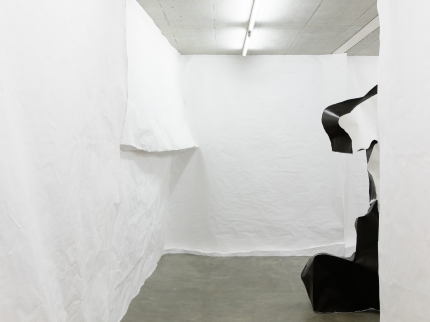 Ausstellungsansicht, Simone Holliger - Struggling structures