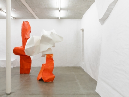 Ausstellungsansicht, Simone Holliger - Struggling structures