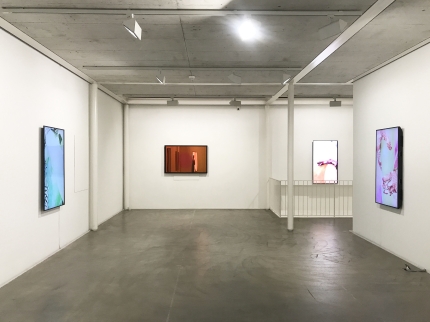 Ausstellungsansicht, Louisa Clement
