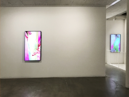 Ausstellungsansicht, Louisa Clement