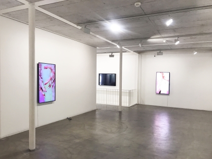 Ausstellungsansicht, Louisa Clement