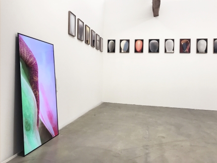 Ausstellungsansicht, Louisa Clement