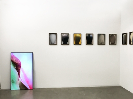 Ausstellungsansicht, Louisa Clement