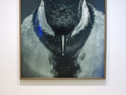 Kunstwerk von Camillo Paravicini