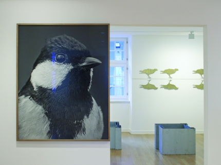 Ausstellungsansicht, Regionale 21