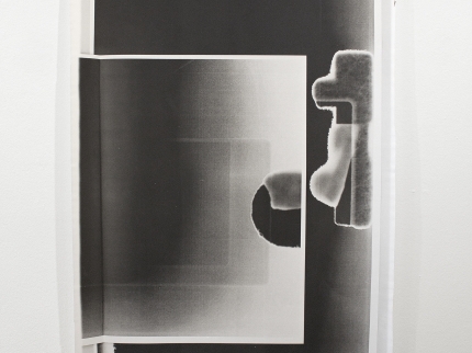 Kunstwerk von Max Leiss