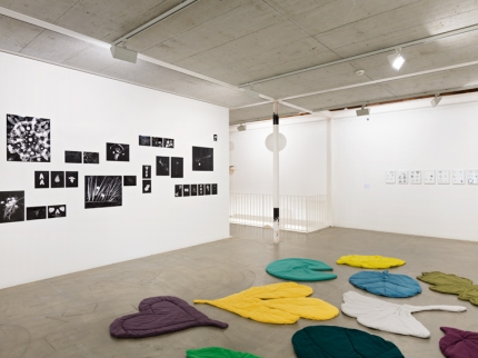 Ausstellungsansichten, Treibhaus