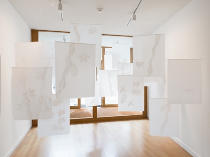 Ausstellungsansichten, Treibhaus