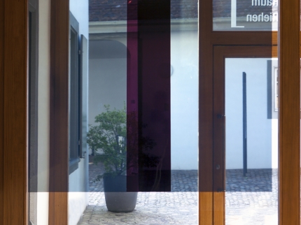 Ausstellungsansicht, Nietzsche, Cyclists and Mushrooms
