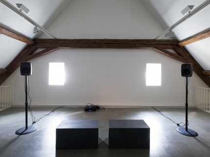 Ausstellungsansicht, Nietzsche, Cyclists and Mushrooms