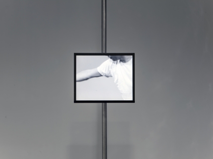 Ausstellungsansicht, Nietzsche, Cyclists and Mushrooms