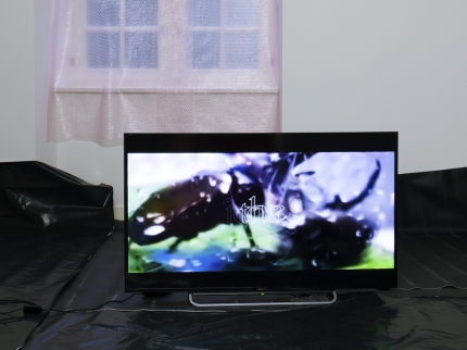 Ausstellungsansicht, Martin Kohout