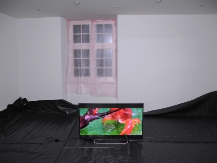Ausstellungsansicht, Martin Kohout