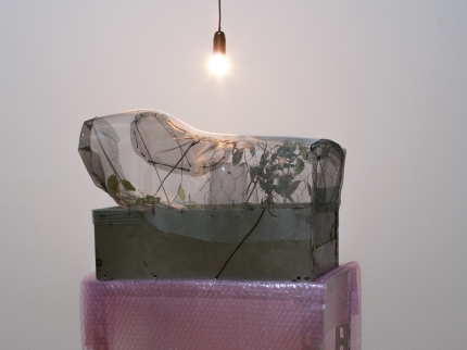 Ausstellungsansicht, Martin Kohout