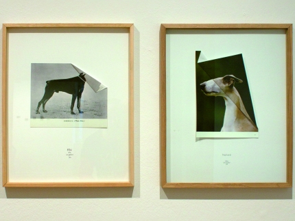 Kunstwerke von Eva Gadient