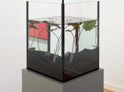 Ausstellungsansicht, When Forms Become Attitude