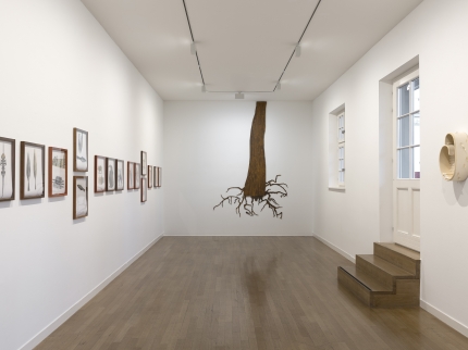Ausstellungsansicht Regionale 25