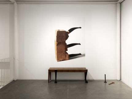 Ausstellungsansicht Kathrin Sonntag