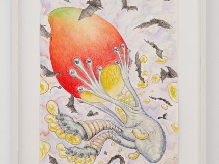Bild von Jonathan Penca