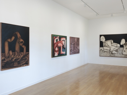 Ausstellungansicht von Diego Kohli