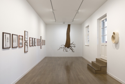 Ausstellungsansicht Regionale 25